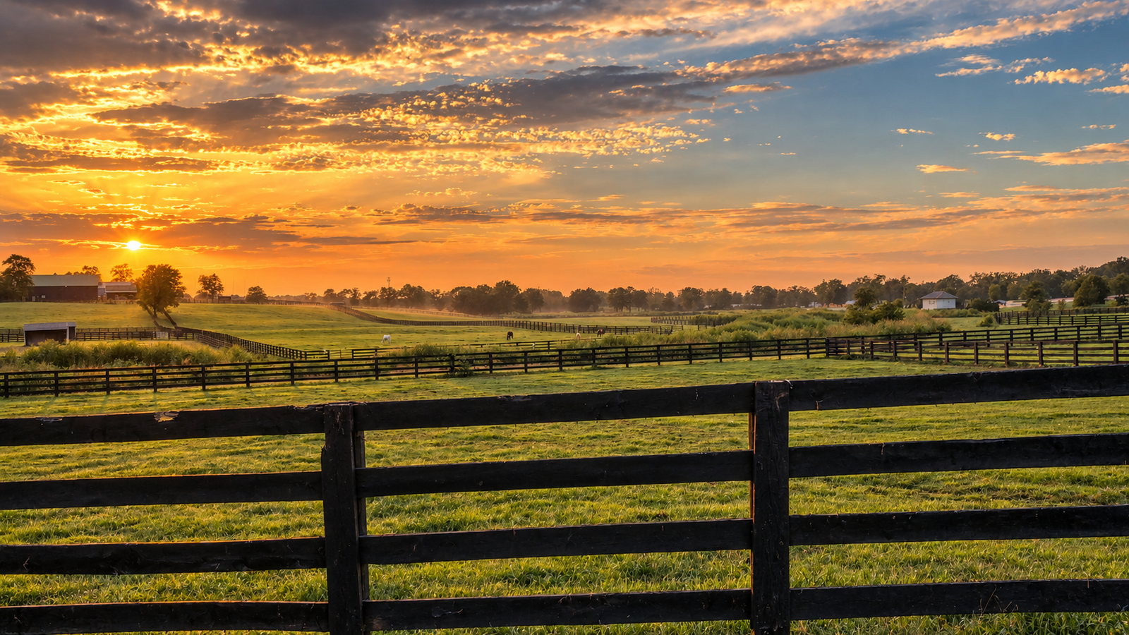 Pasto e cercas do Haras Nook ao pôr do sol